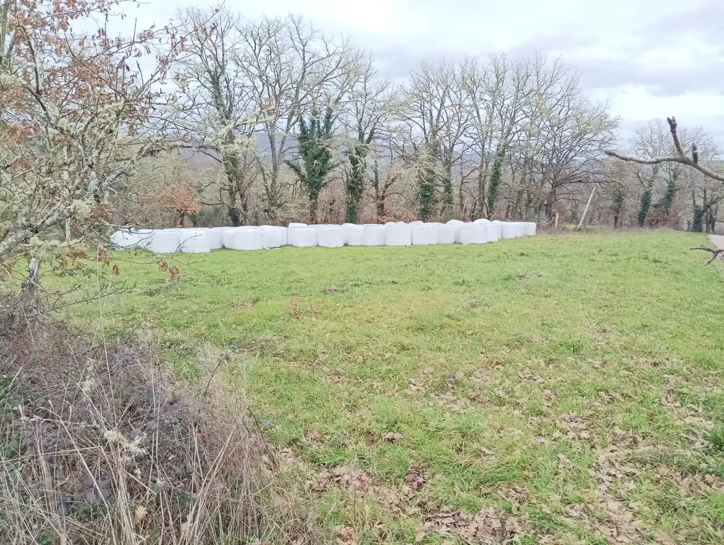 Finca rústica en venta en Becerreá