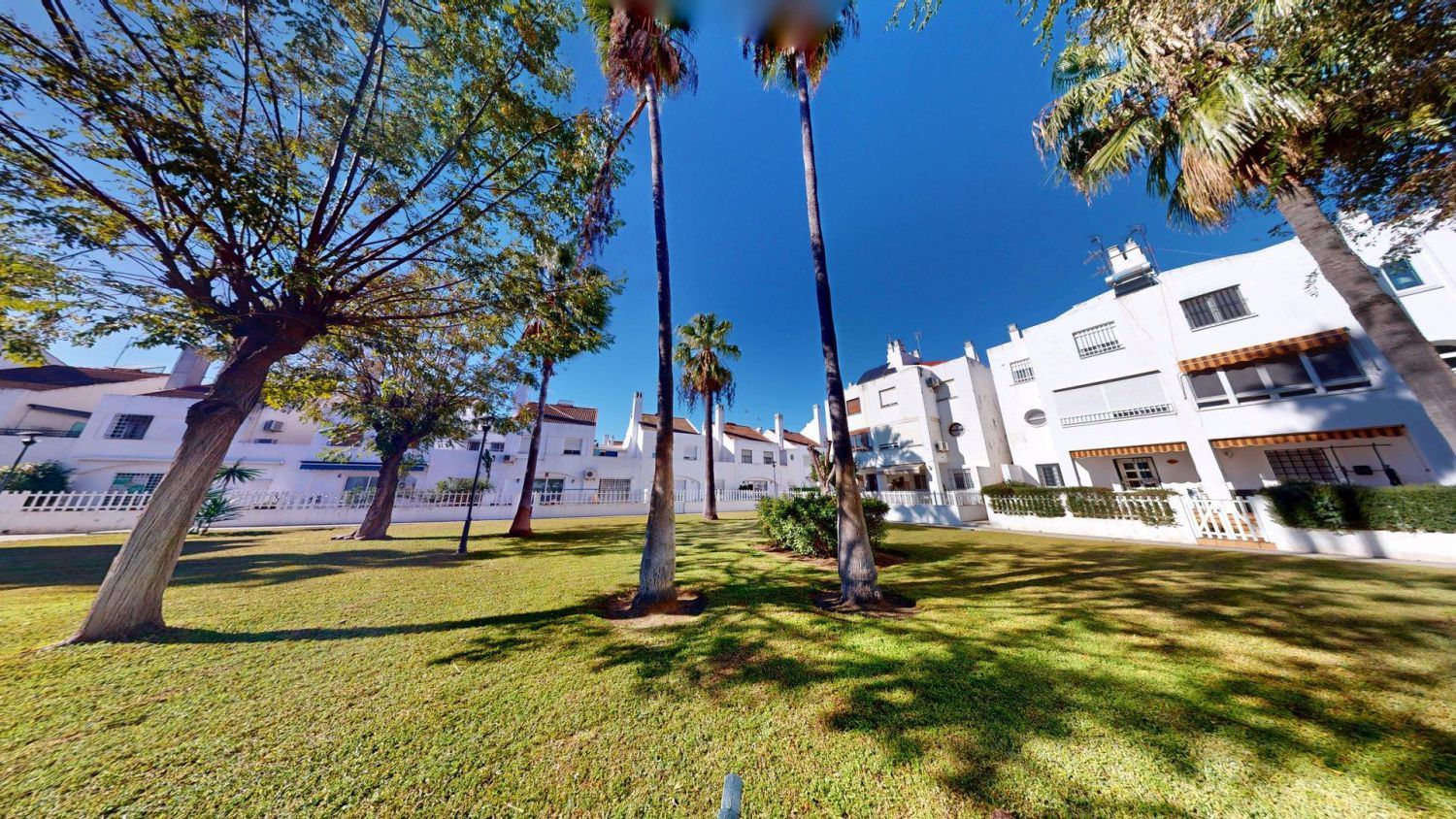 Vista exterior de Casa o chalet en venta en  Sevilla Capital con Aire acondicionado, Calefacción y Terraza