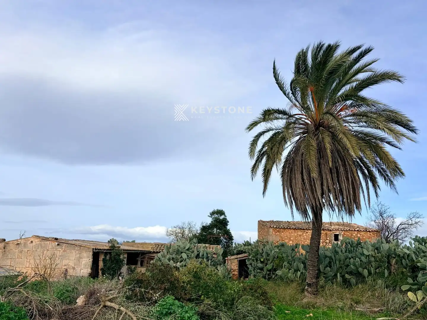 Vista exterior de Finca rústica en venta en Campos con Terraza