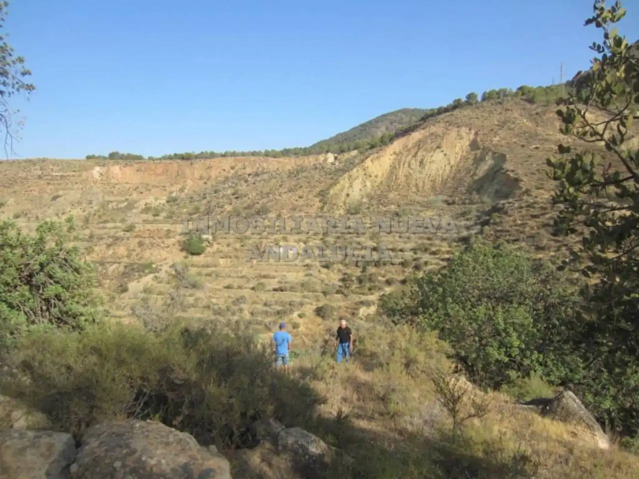 Terreny rústic en venda a Canjáyar, imagen 12