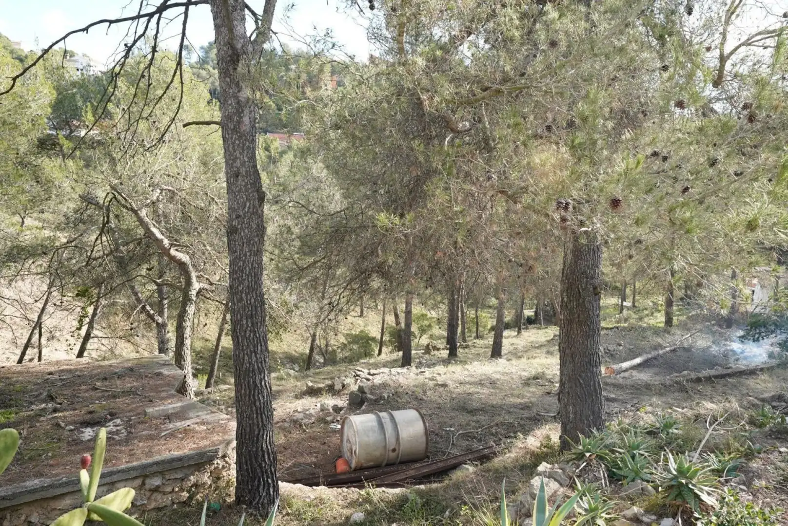 Terrenys i solars en venda a Olesa de Bonesvalls, imagen 14
