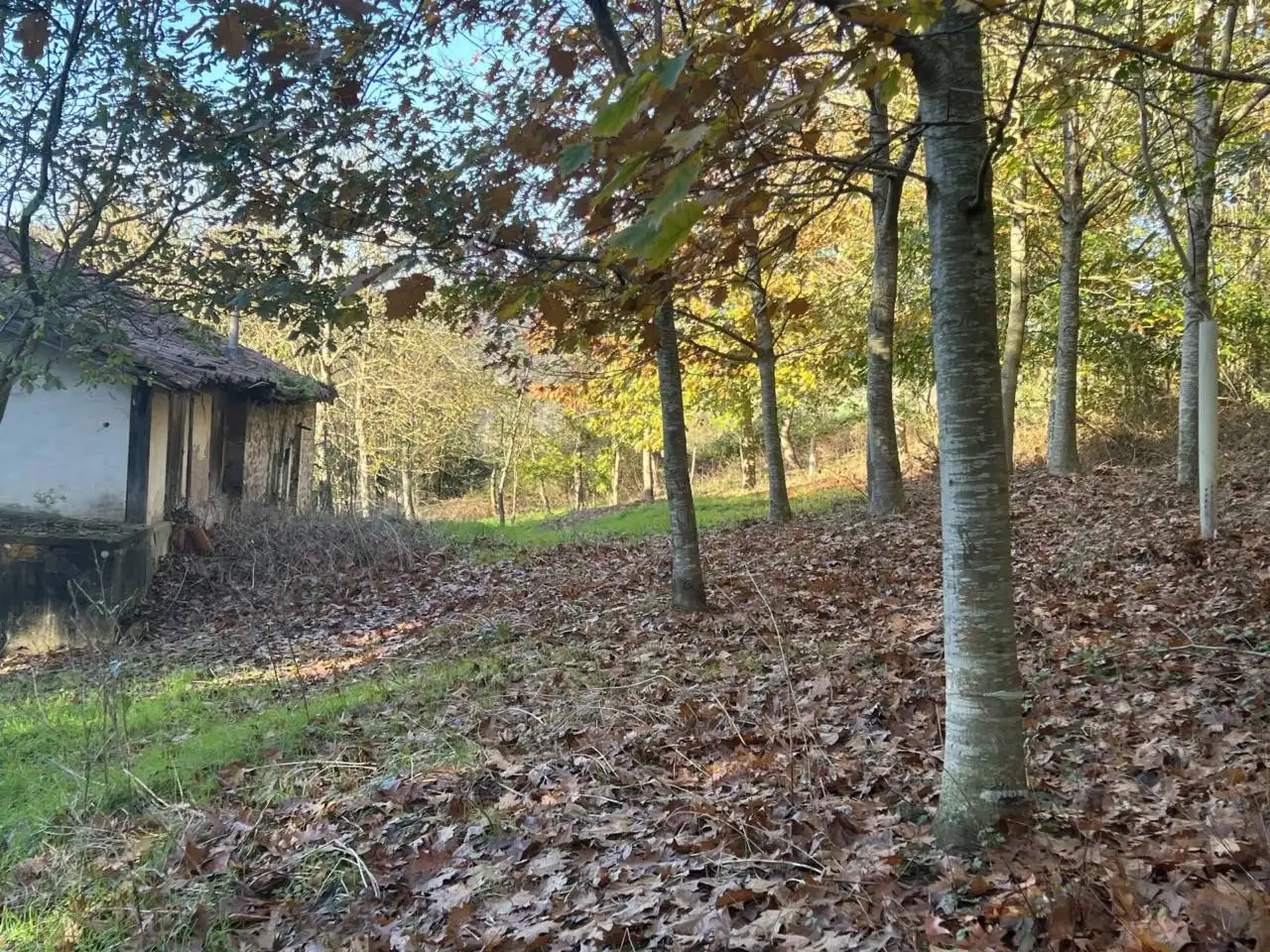 Haus zum Verkauf in Karrantza Harana/Valle de Carranza, imagen 8