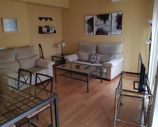 Living room of Flat to rent in Plasencia  with Air Conditioner, Heating and Private garden