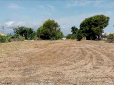 Terreny rústic en venda a Partida Deveses C 78