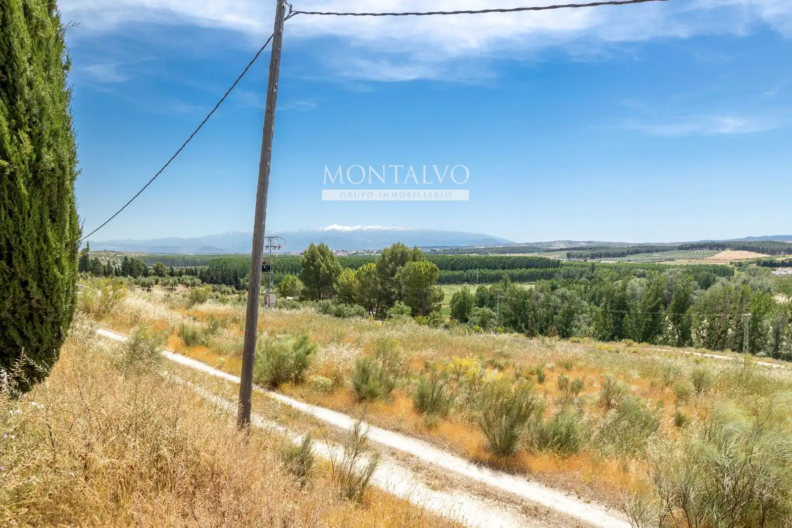 Land for sale in Pinos Puente