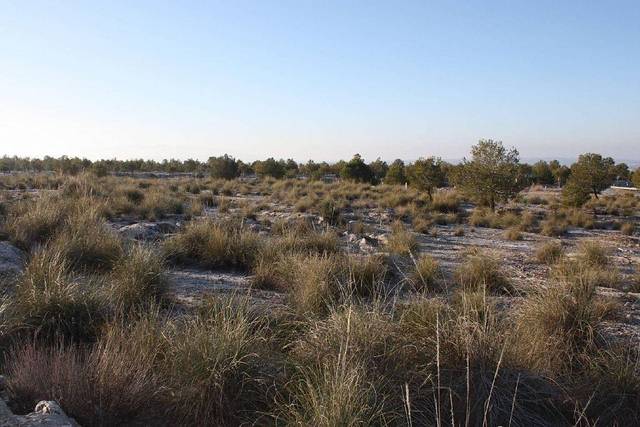 Terreno en Venta en  FUENTE PEÑA Parc. 536 en Puebla de Don Fadrique