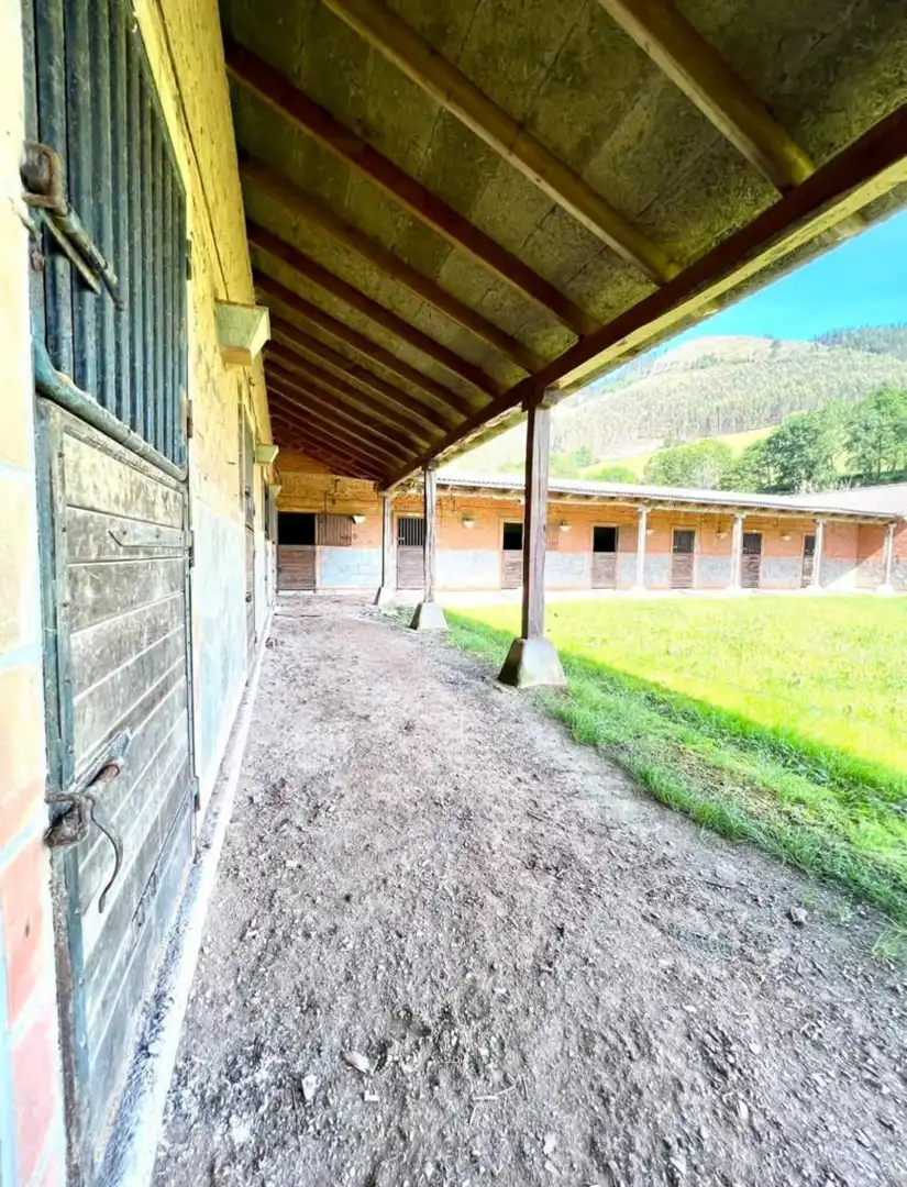 Vista exterior de Casa o chalet en venta en Piloña con Calefacción y Jardín privado