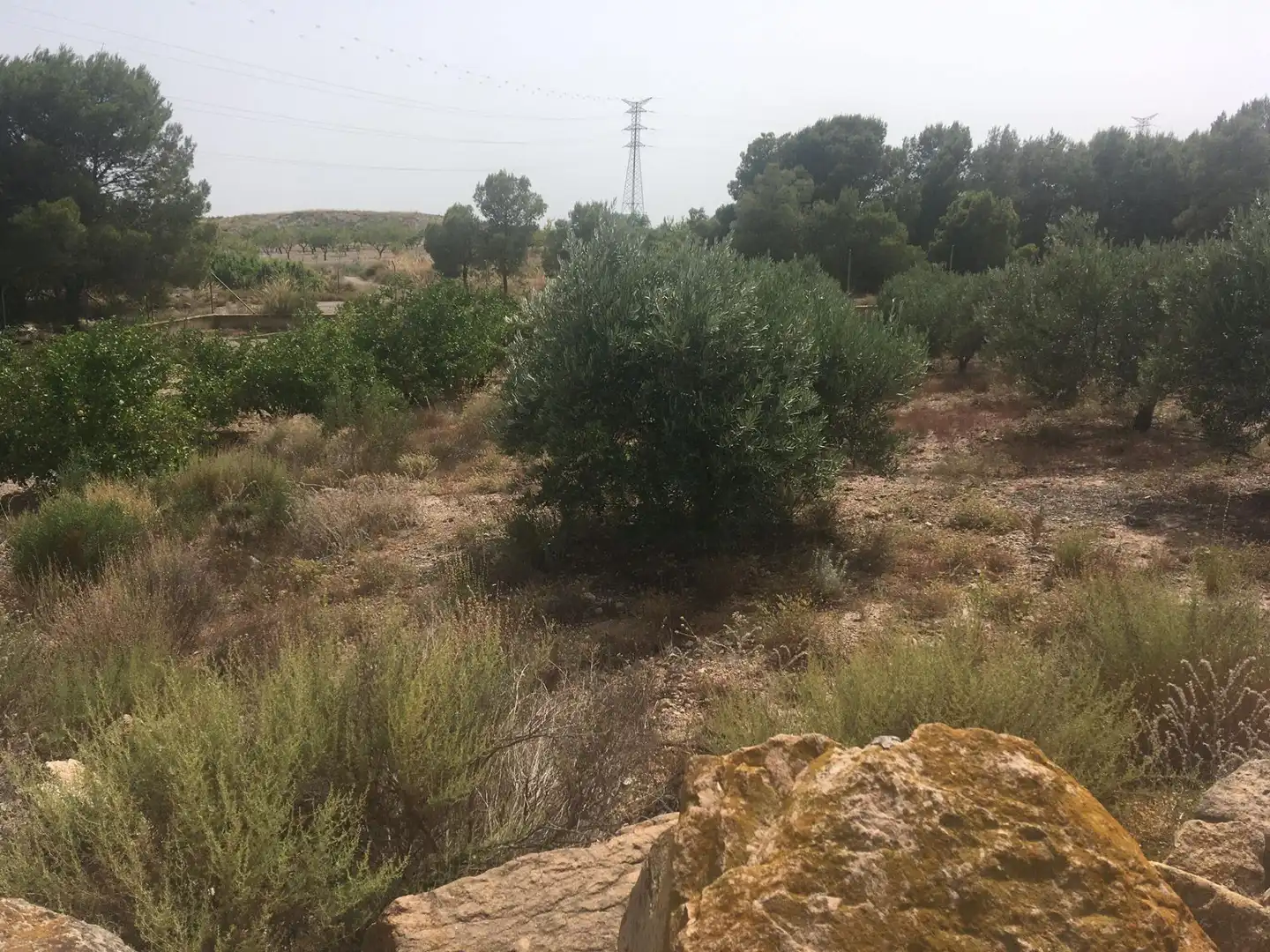 Country house zum Verkauf in Lorca mit Privatgarten und Schwimmbad