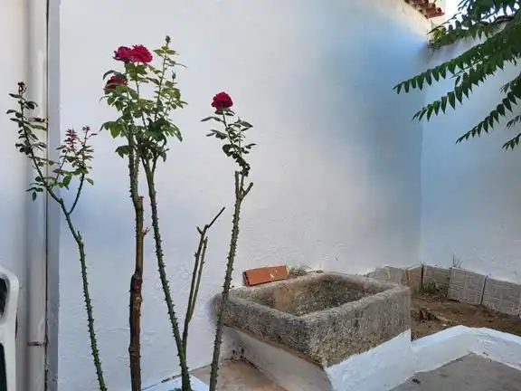 Jardín de Casa o chalet en venta en Sisante