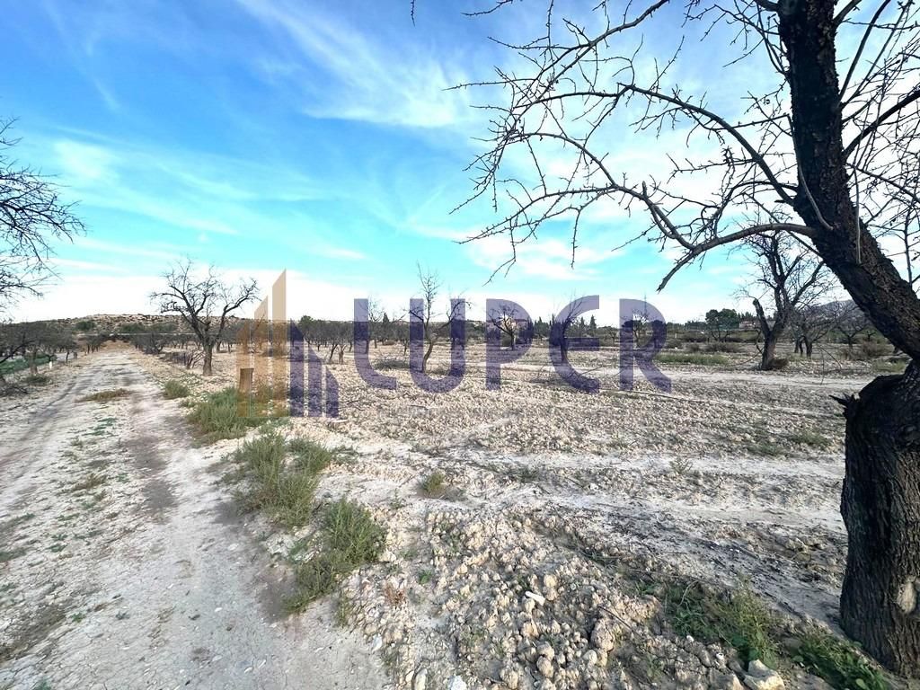 Terreny en venda en Agost