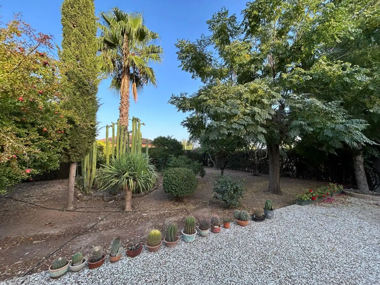 Jardín de Casa o chalet en venta en Carmona con Aire acondicionado, Terraza y Piscina