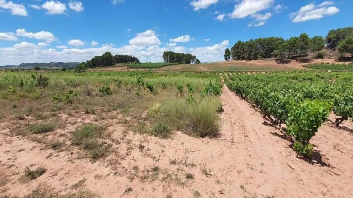 Residencial en venda en Azofra
