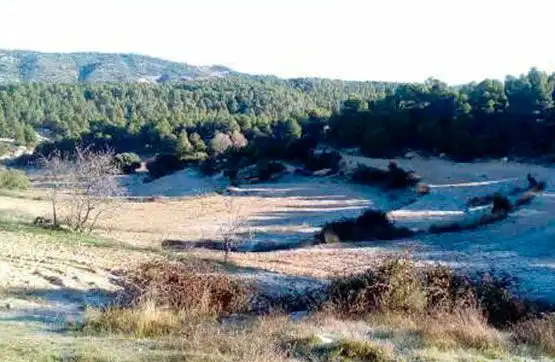 Terreni e lotti in vendita a La Ginebrosa, imagen 4