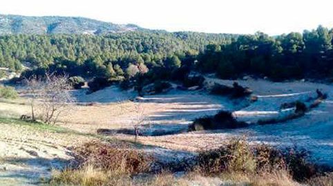 FINCA LABOR SECANO, imagen 4