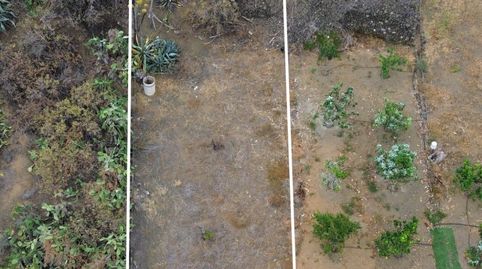 Foto 3 de Terreno en venta en Calle Garabato, Caserones - La Higuera, Telde