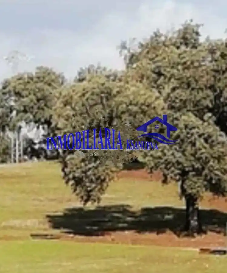 Finca rústica en venta en Cerro Muriano