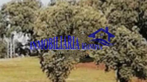 Foto 3 de Finca rústica en venda a Cerro Muriano, Córdoba