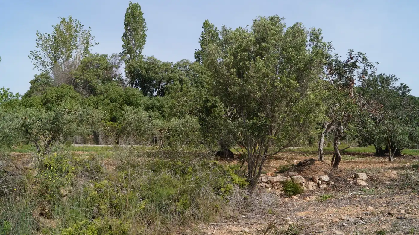 Terreno en venta en Torredembarra