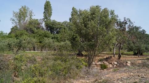Photo 3 of Land for sale in Autopista del Mediterráneo, 232, Sant Jordi, Torredembarra