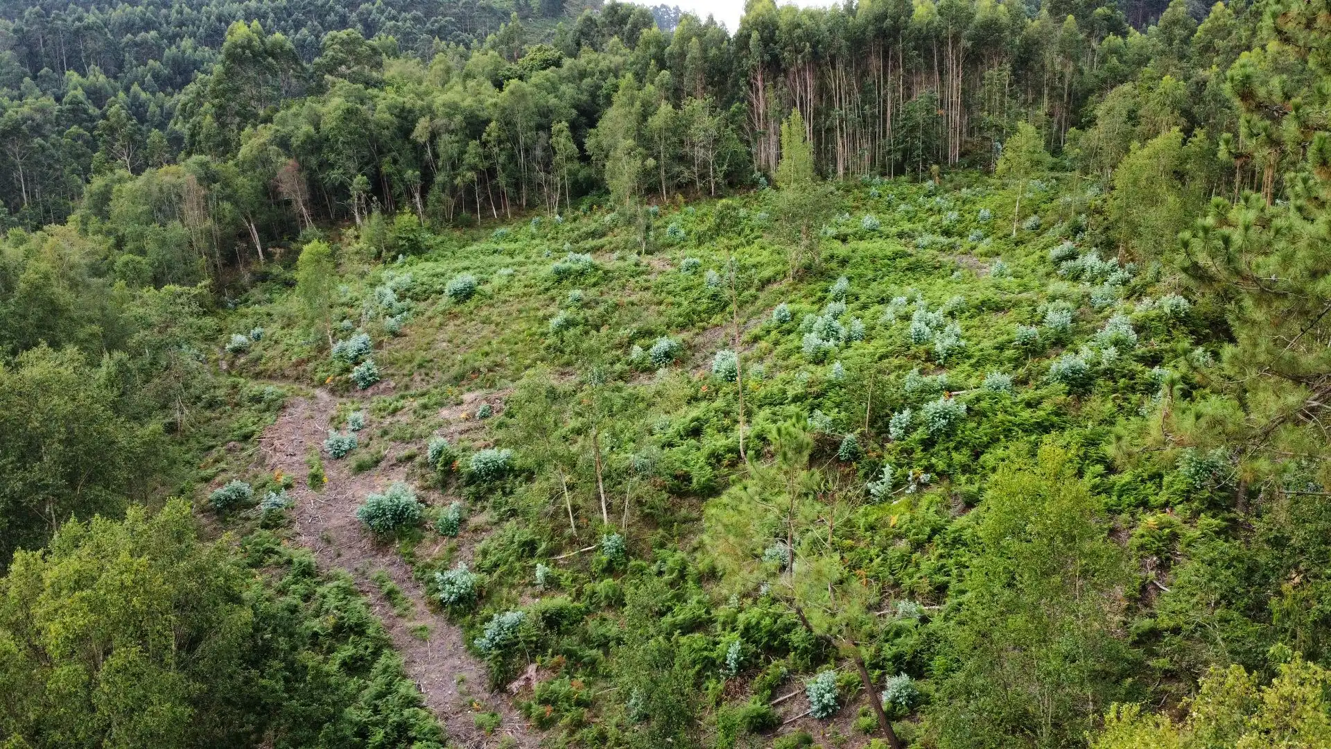 Terreno rustico in vendita a Pría - Nueva-Hontoria - Naves, imagen 23