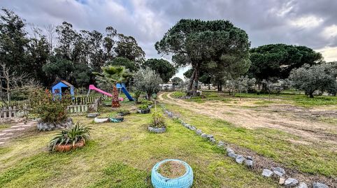 Foto 2 de Finca rústica en venta en N/a, Gibraleón, Huelva