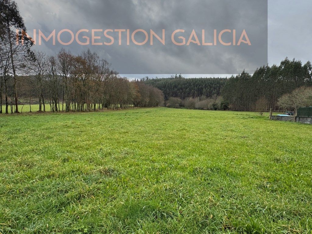 Residencial en venta en Lugar Ribasoutas