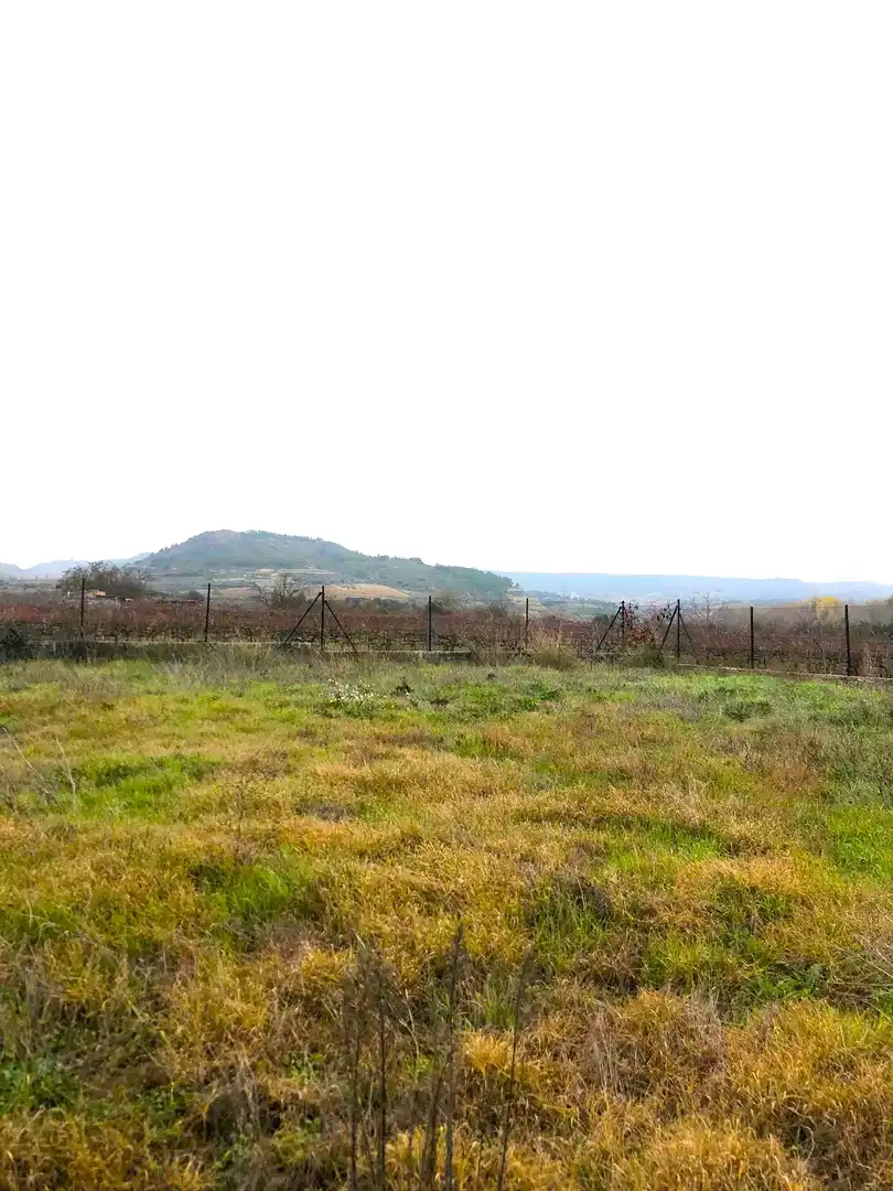 Rustikales Grundstück zum Verkauf in El Cortijo, imagen 22