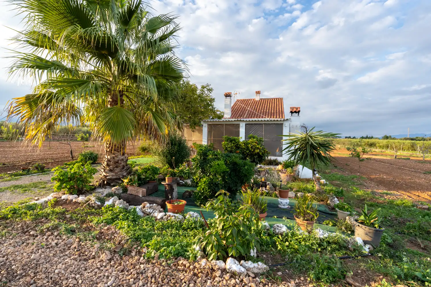 Terreno rustico in vendita a Carretera del Cementiri 9, imagen 32