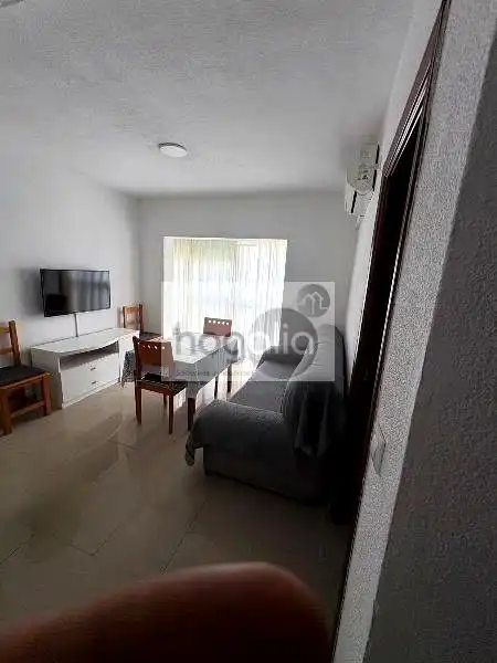 Appartement à louer à Sur, imagen 2