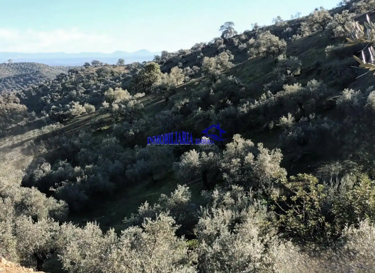 Country homes for sale in Adamuz, Córdoba