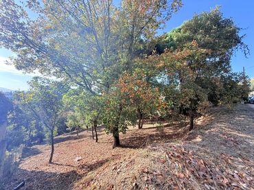 Terreno residenziale in vendita a Riells i Viabrea