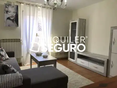 Sala de estar de Piso de alquiler en Vitoria - Gasteiz con Calefacción y Amueblado