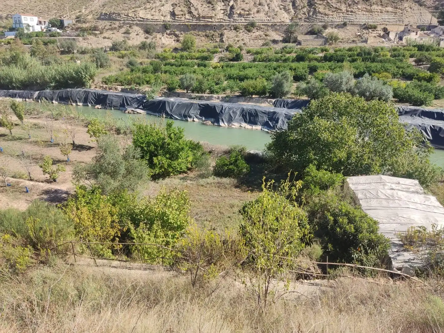 Grundstücke zur Miete in Abarán, Murcia