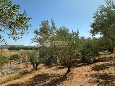 Casa rústica en venda a Arcos de la Frontera