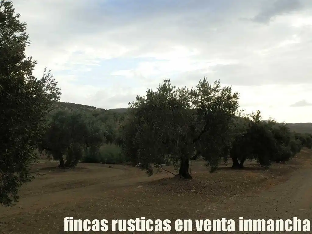Terreni e lotti in vendita a Andújar, imagen 22