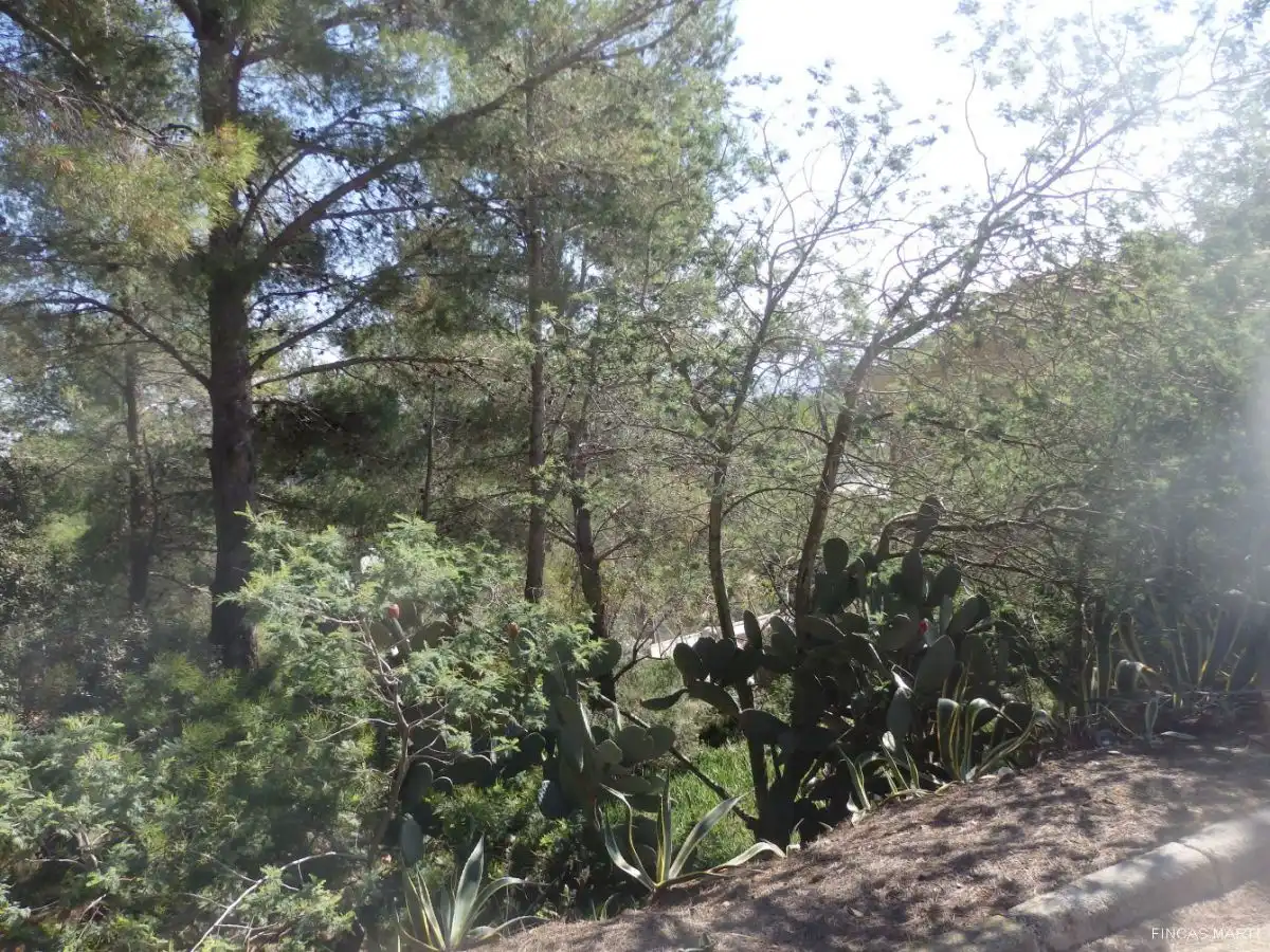 Terreno residenziale in vendita a Riudecanyes, imagen 15