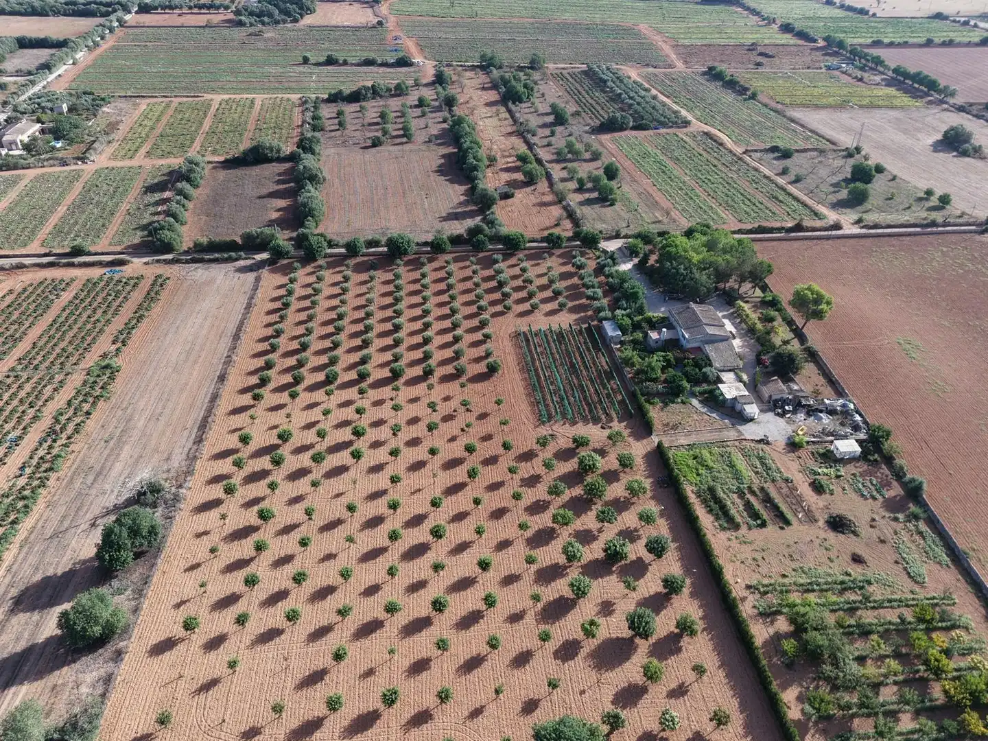 Country homes for sale in Felanitx Poble