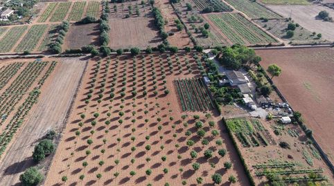 Photo 4 of Country homes for sale in Felanitx Poble, Felanitx