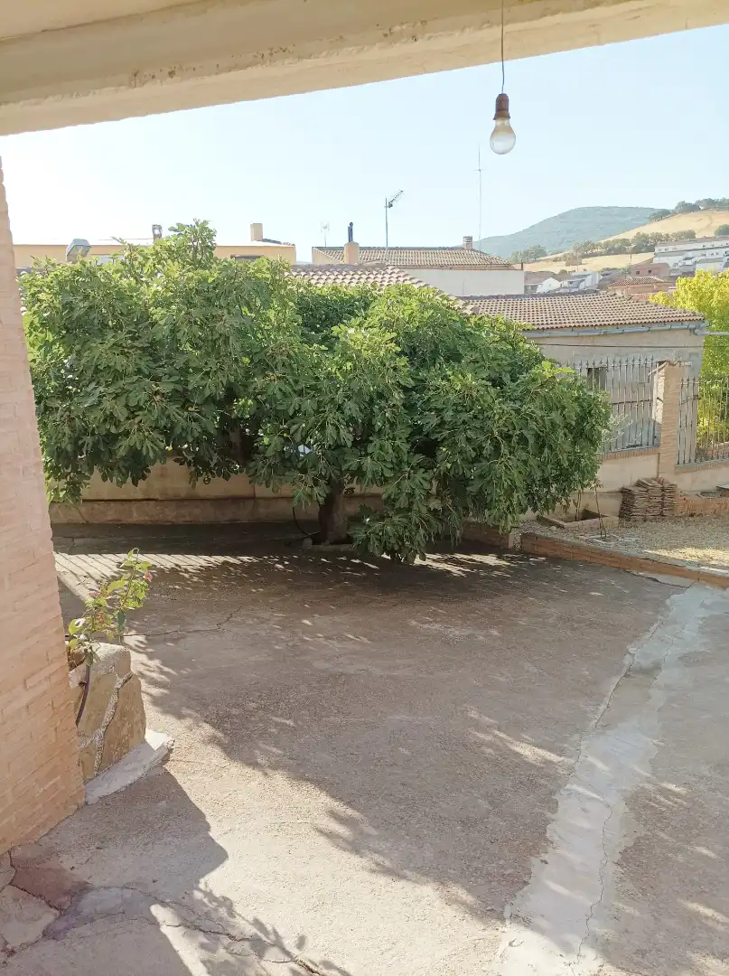 Xalet amb terrassa en venda a Horcajo de los Montes, imagen 23