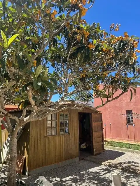 Exterior view of Houses for sale in Llucmajor  with Air Conditioner, Heating and Private garden