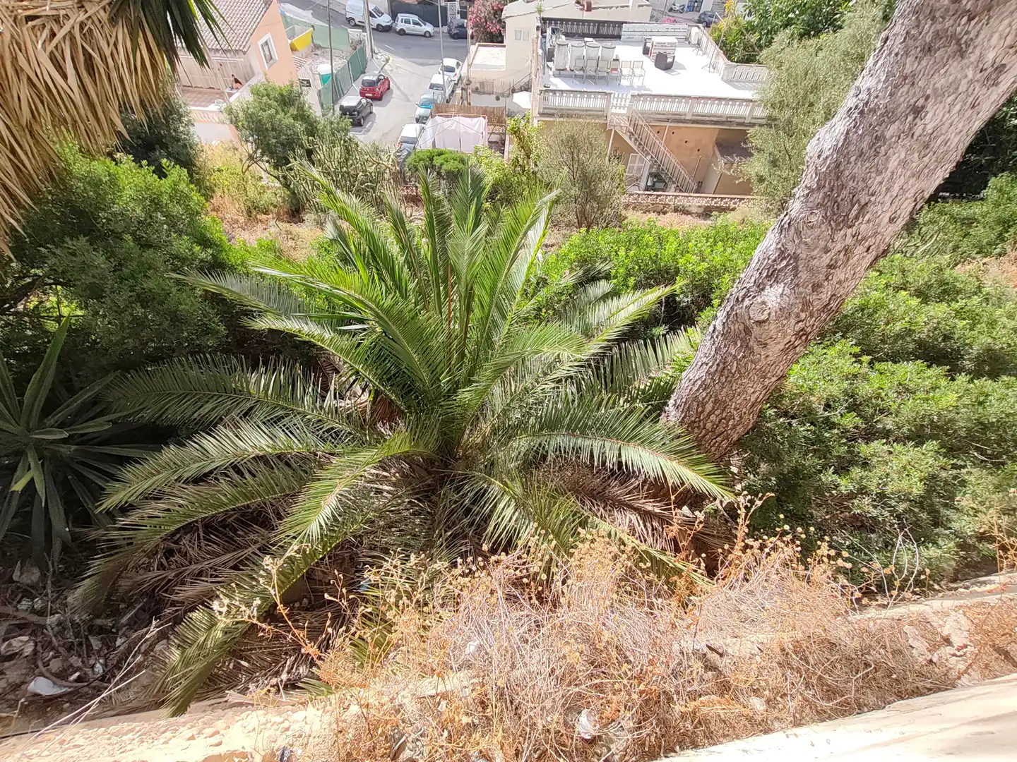 Residencial en venta en  Palma de Mallorca