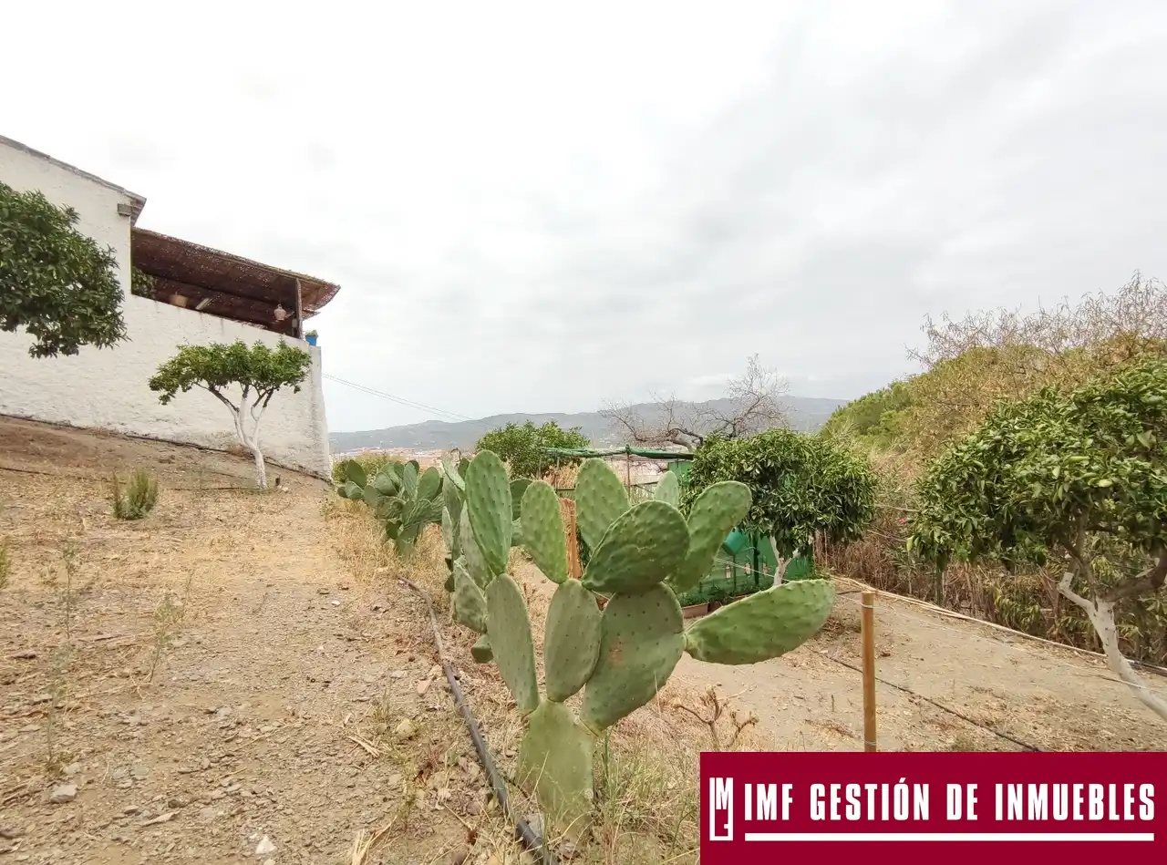 Jardín de Finca rústica en venta en Vélez-Málaga con Jardín privado, Terraza y Trastero