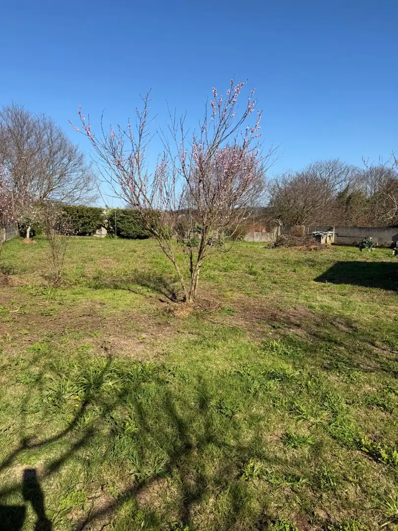 Casa o xalet en venda en Carballo amb Calefacció, Jardí privat i Moblat