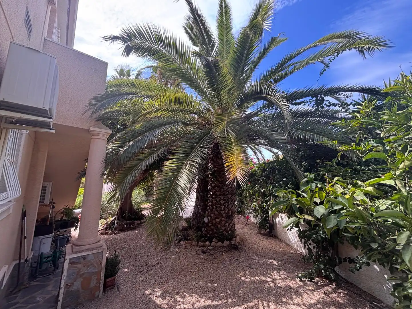 Garden of Houses for sale in Ciudad Quesada