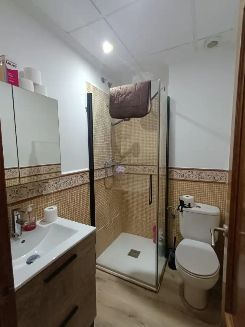Baño de Casa o chalet en venta en Petrer con Aire acondicionado, Terraza y Trastero