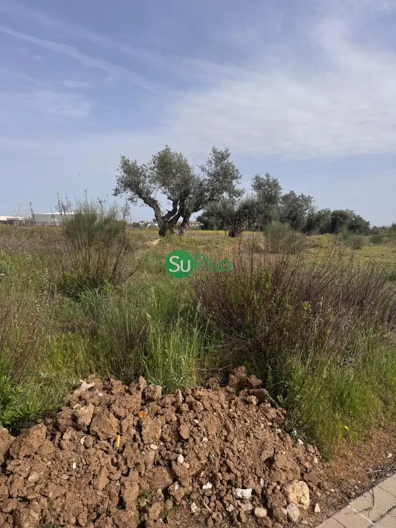 Residential for sale in Yeles