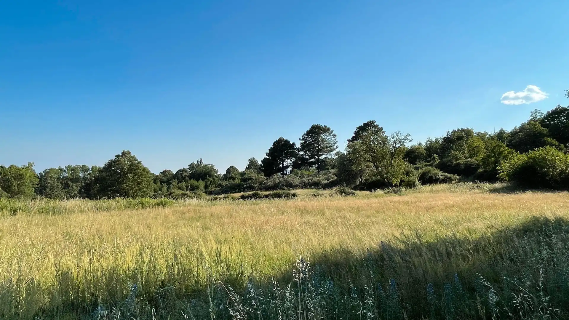 Grundstücke zum Verkauf in El Arenal 
