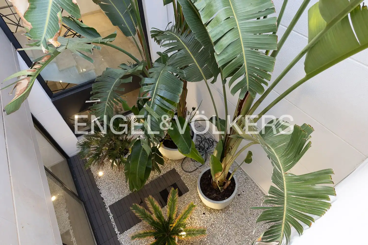 House with pool to rent in Calle 20, imagen 42