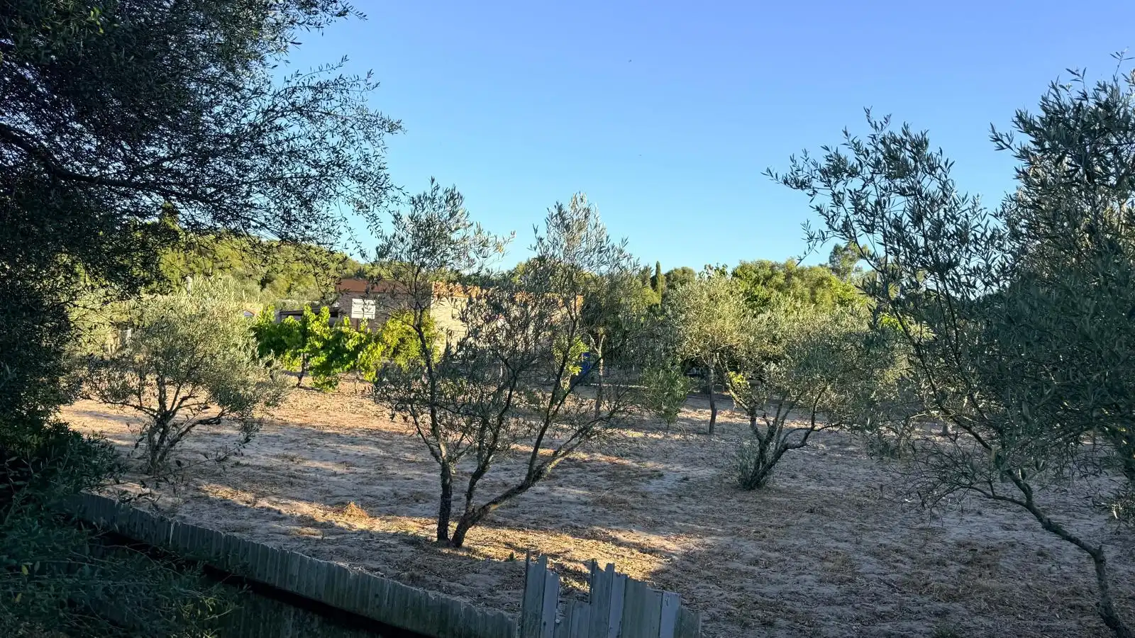 Country homes for sale in Vejer de la Frontera  with Air Conditioner, Heating and Private garden