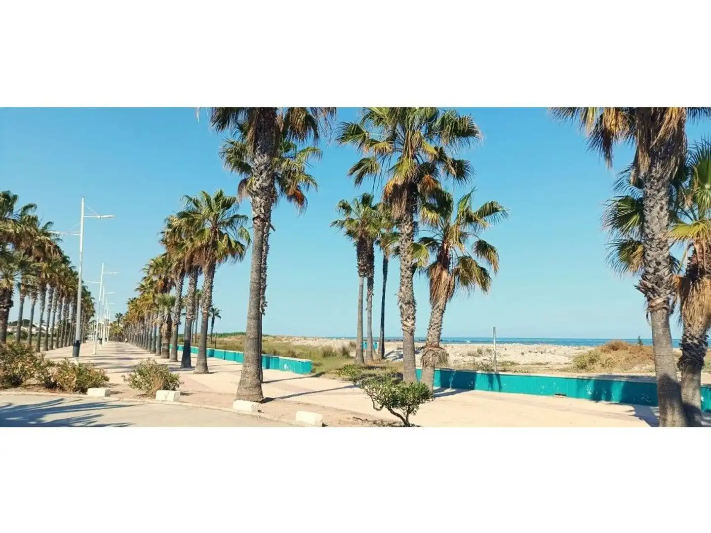 Exterior view of Houses for sale in Burriana / Borriana